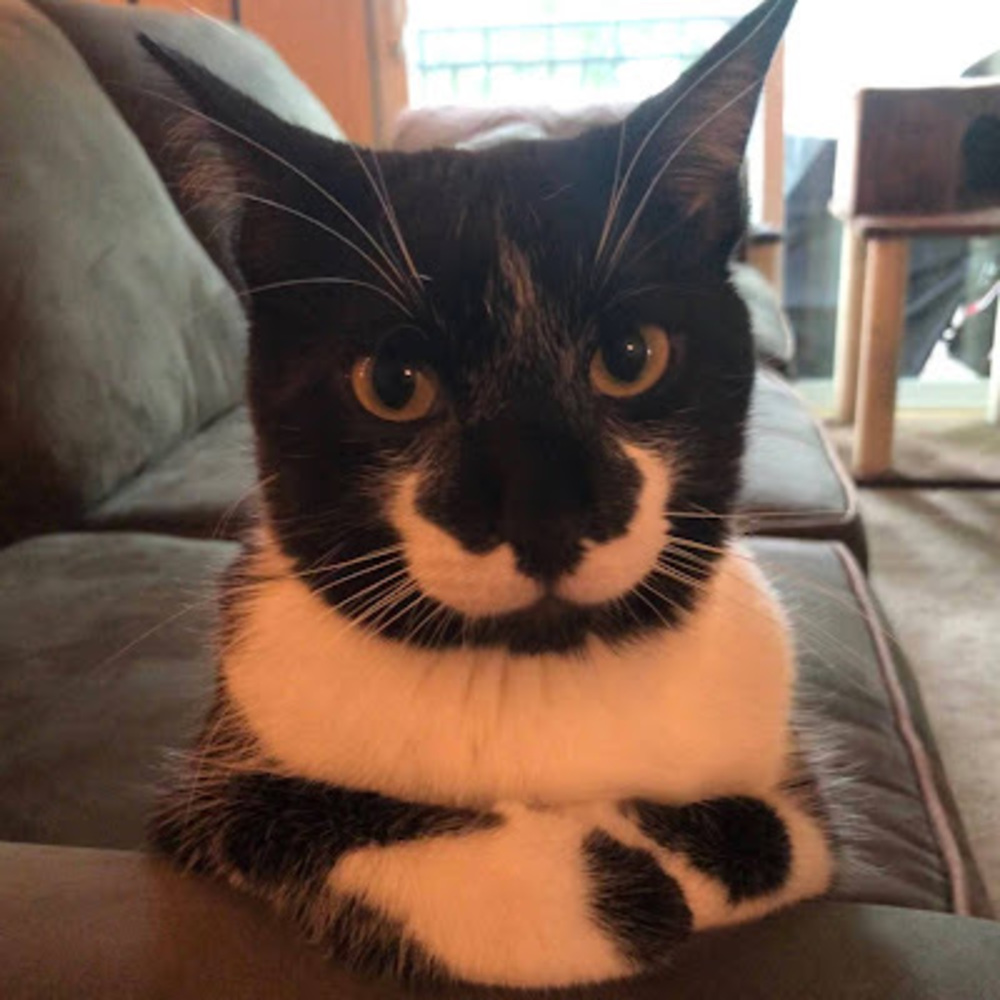 Meet your Posher, Karena